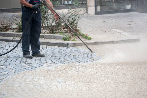 Professional Pressure Washing in Cedarville, AR